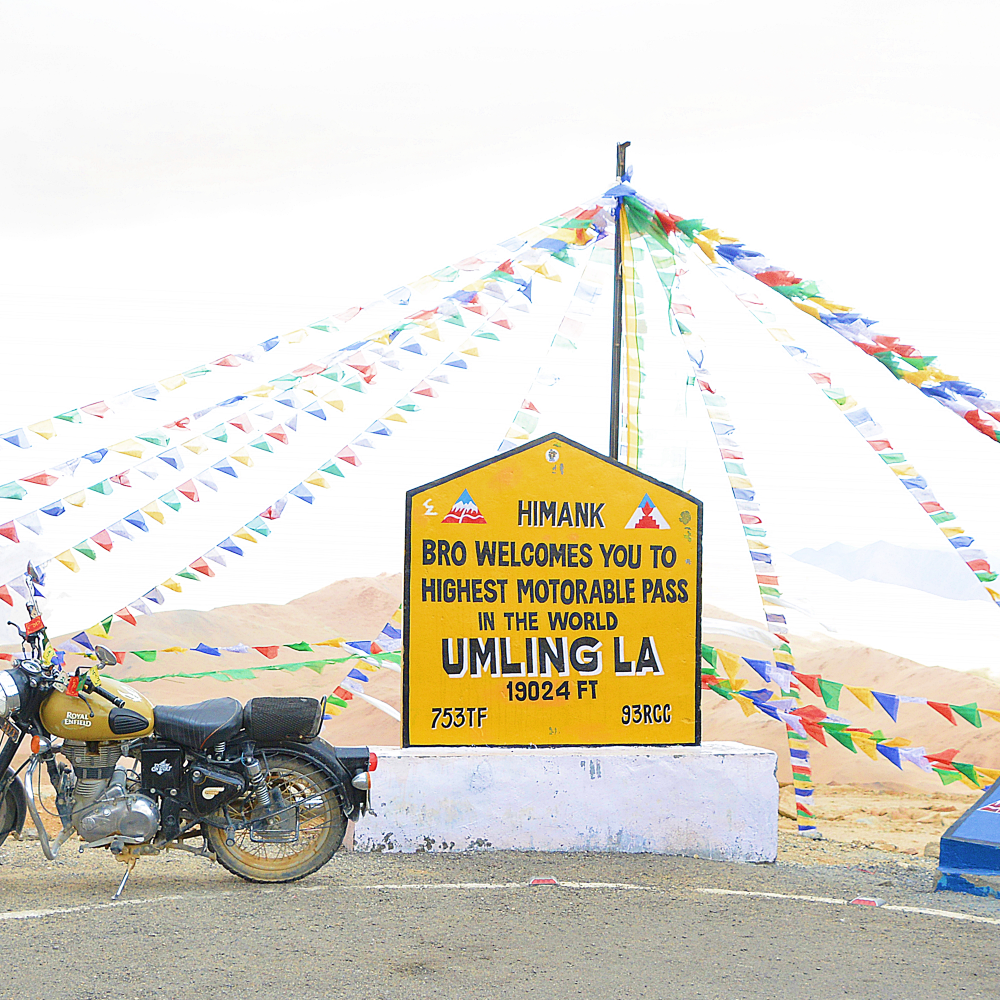 Image Gallery